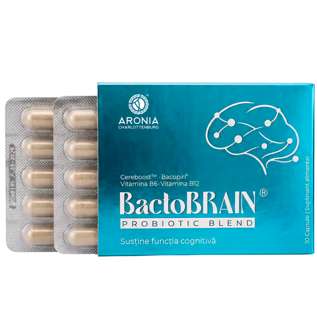 BactoBRAIN® — formulă premium care susține funcțiile cognitive, sistemul nervos și axa intestin-creier, cu probiotice, prebiotice, plante premium și vitamine