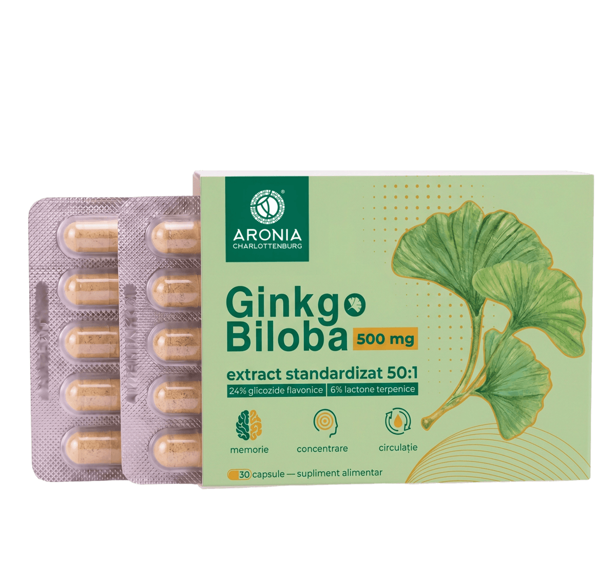Ginkgo Biloba 500 mg — 30 capsule cu extract concentrat din frunze, pentru memorie, concentrare și circulație