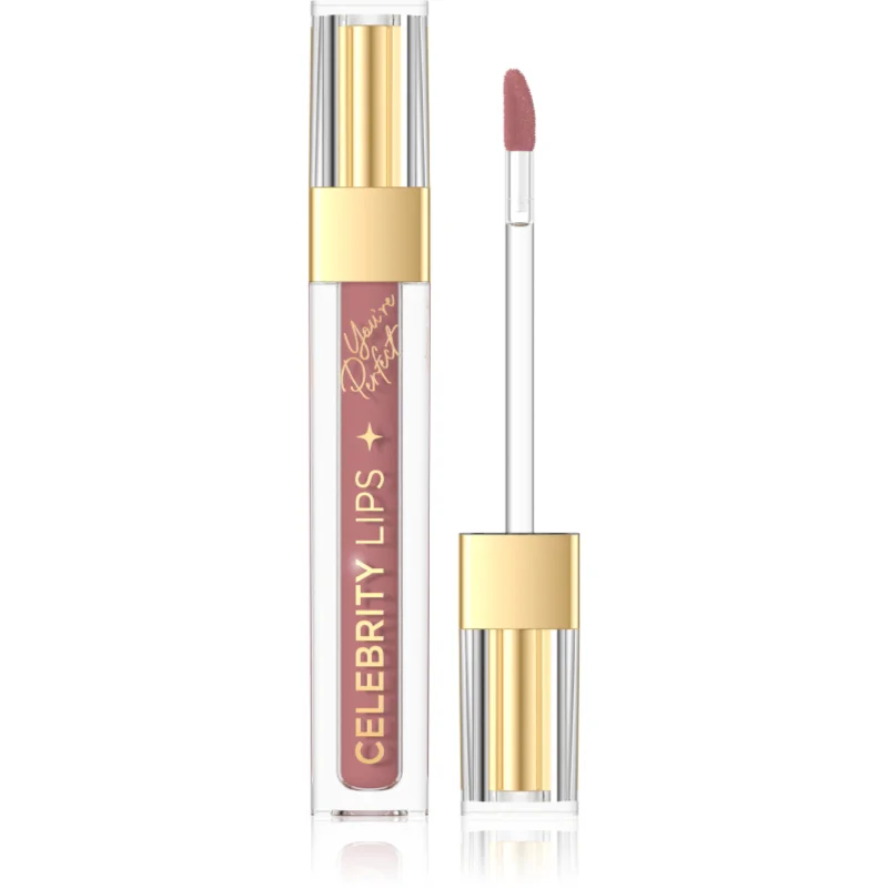 Eveline Cosmetics Celebrity Lips ruj de buze lichid, mat și de lungă durată culoare 04C 4 ml